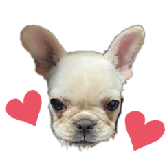 omochi_20221208173820
