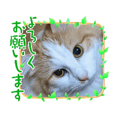 mitsuki_20221208222803