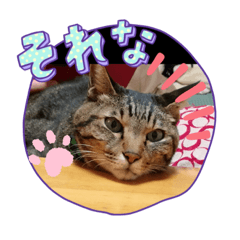 YUKA_20221209100948