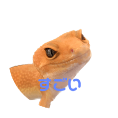 tori_20221209103936