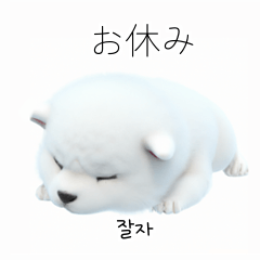 Samoyed Dog KR EN JP TH CN TW oT6