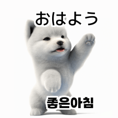 Samoyed Dog KR EN JP TH CN TW 6j0