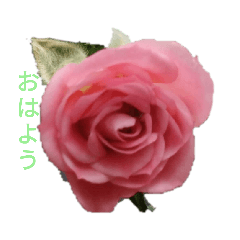 hana_20221209135923