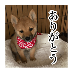 natsumi_20221209140754