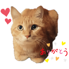 saori_20221210011157