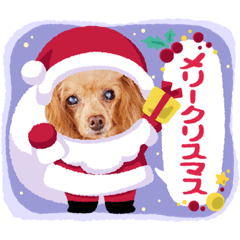 tori_20221209153311