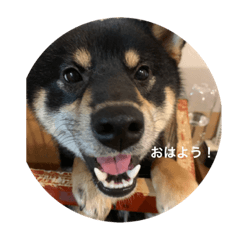konatsu_20221210012011