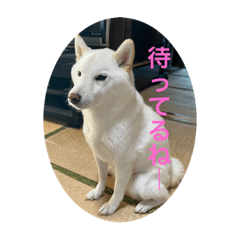 aoi_20221209155611