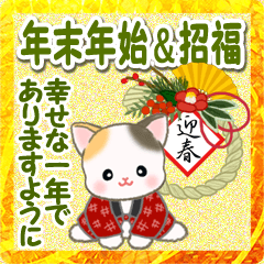 "Hanten" cats in the New Year holidays