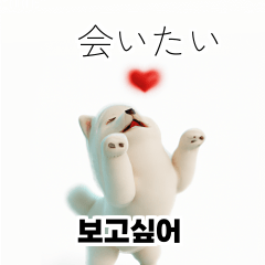 Samoyed Dog KR EN JP TH CN TW QIz