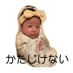 ruru_20221209182411