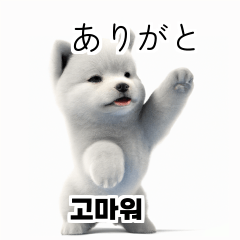 Samoyed Dog KR EN JP TH CN TW d1G