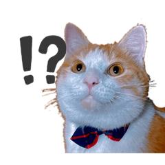 natsumi_20221210003105