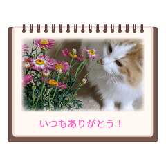 mitsuki_20221209180847