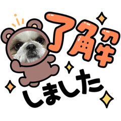 yuka_20221209214358