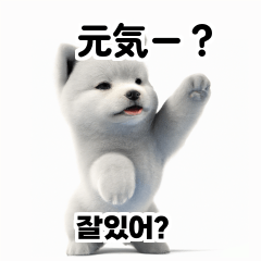 Samoyed Dog KR EN JP TH CN TW 95E