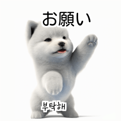 Samoyed Dog KR EN JP TH CN TW Ns0