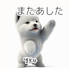 Samoyed Dog KR EN JP TH CN TW 2gC