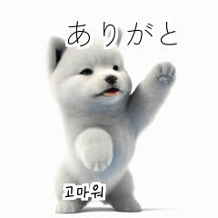 Samoyed Dog KR EN JP TH CN TW 4j7