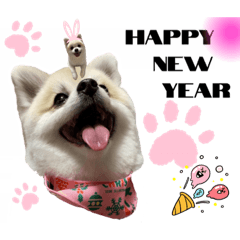 smile_20221208223608