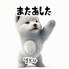 Samoyed Dog KR EN JP TH CN TW R6N