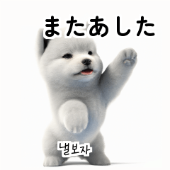 Samoyed Dog KR EN JP TH CN TW Lsj