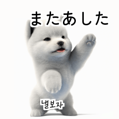 Samoyed Dog KR EN JP TH CN TW ruV