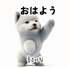 Samoyed Dog KR EN JP TH CN TW ZVV