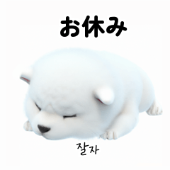 Samoyed Dog KR EN JP TH CN TW l_a