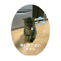 kinaco_20221209222249