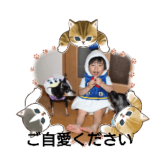 HOMEPET_20221210095205