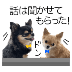 shiho_20221210101055