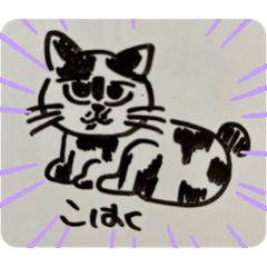 momoko_20221210114802