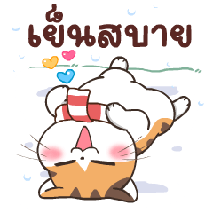 Soidow Cat  winter : V.Thai