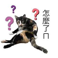 Rere是可ㄞ的矛米