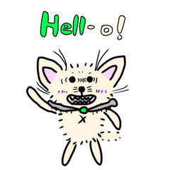 Kaizou-Chihuahuas1