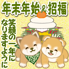 Mameshiba puppy brothers in the New Year