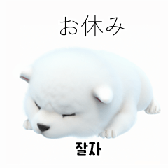 Samoyed Dog KR EN JP TH CN TW 5fw