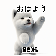 Samoyed Dog KR EN JP TH CN TW i8Q