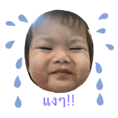 Puping_211117