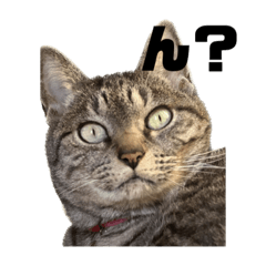 Arisa_20221210223609