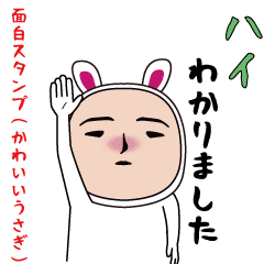 The usual funny (cute rabbit )