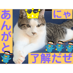 sayuri_20221210182239