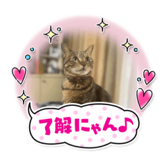 kinaco_20221210194723