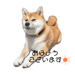 arisa_20221211124609