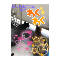 yuka_20221211130704