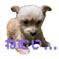 mocomoco_20221211153542
