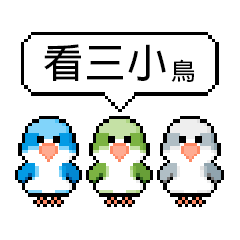 Three Little Birds - Monk Parrot _ new