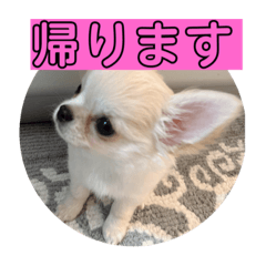 おもちスタンププ
