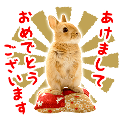 Rabbit Sticker -year of the Rabbit-